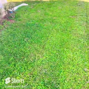 God is Good! Grounding Energies