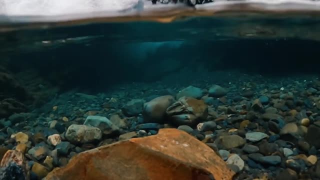 So this is a pretty rock💙 . I love it when a good looking rock shows up underwater 🌊🌊 .