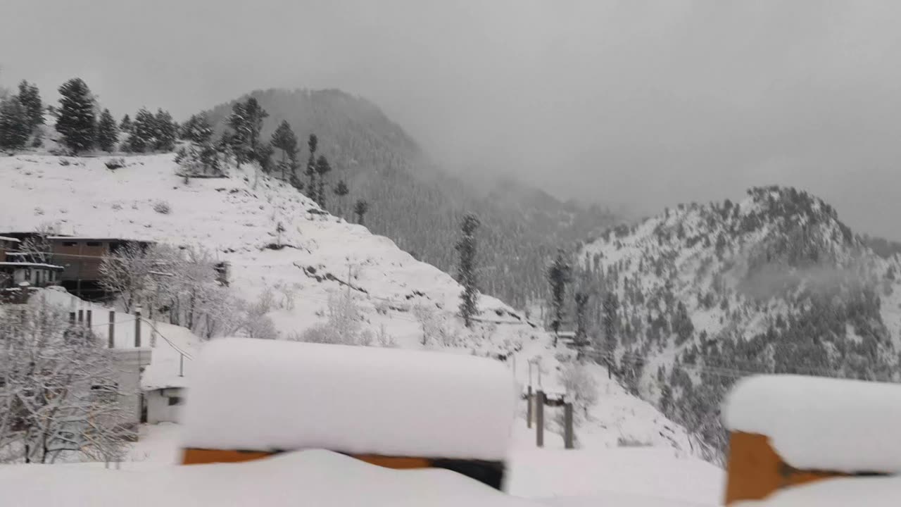 Feel The 🥶 Malam Jabba The Nature Beauty