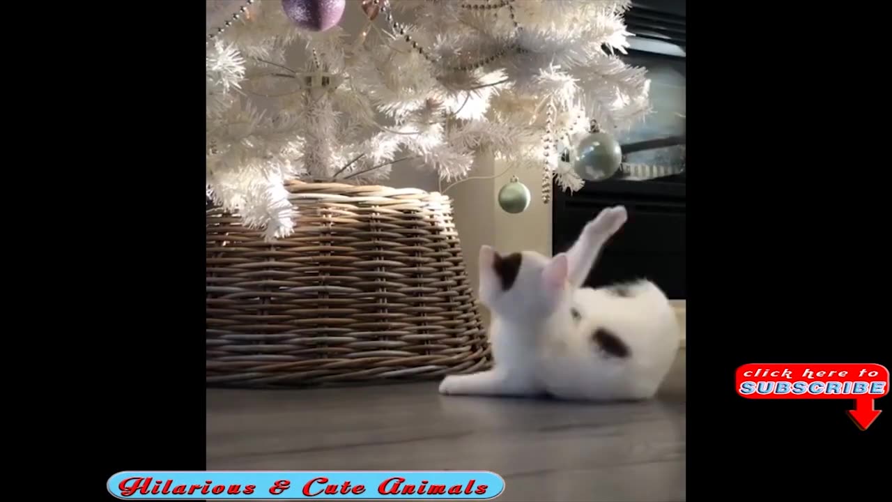 🐕Funny Dogs and Cats Christmas Fails🐈 Dogs & Cats Destroy Christmas Trees, and the House! 🎅🎄