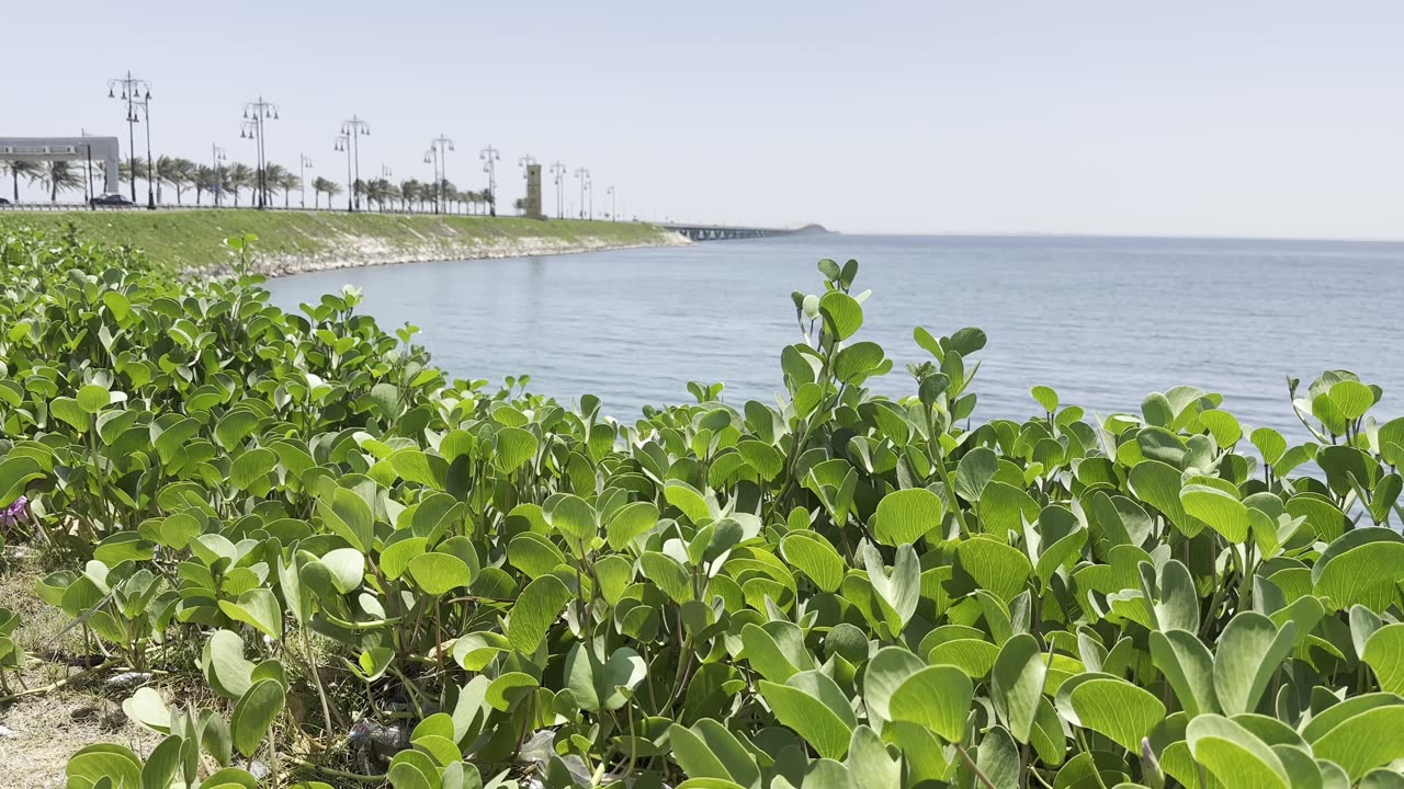 BAHRAIN AND SAUDIA BORDER