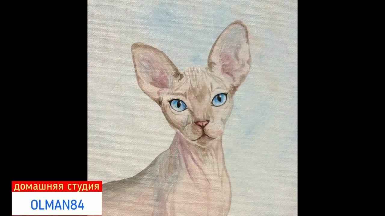SPHINX-gentle, affectionate and naked!