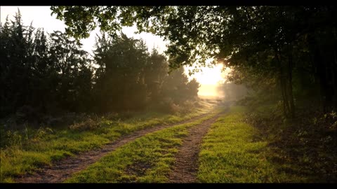 "Lovely Day" - electronica