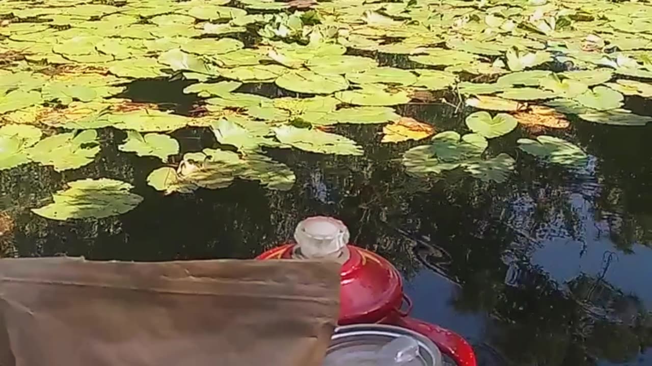 Fishing with Ron and Moon Does Coffee.