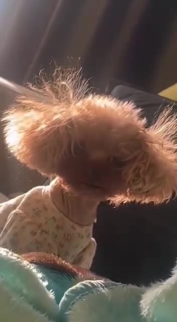 Bad hair day 😍😍😂