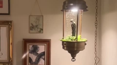 After hanging for months, its time to finally turn on the vintage heirloom oil lamp