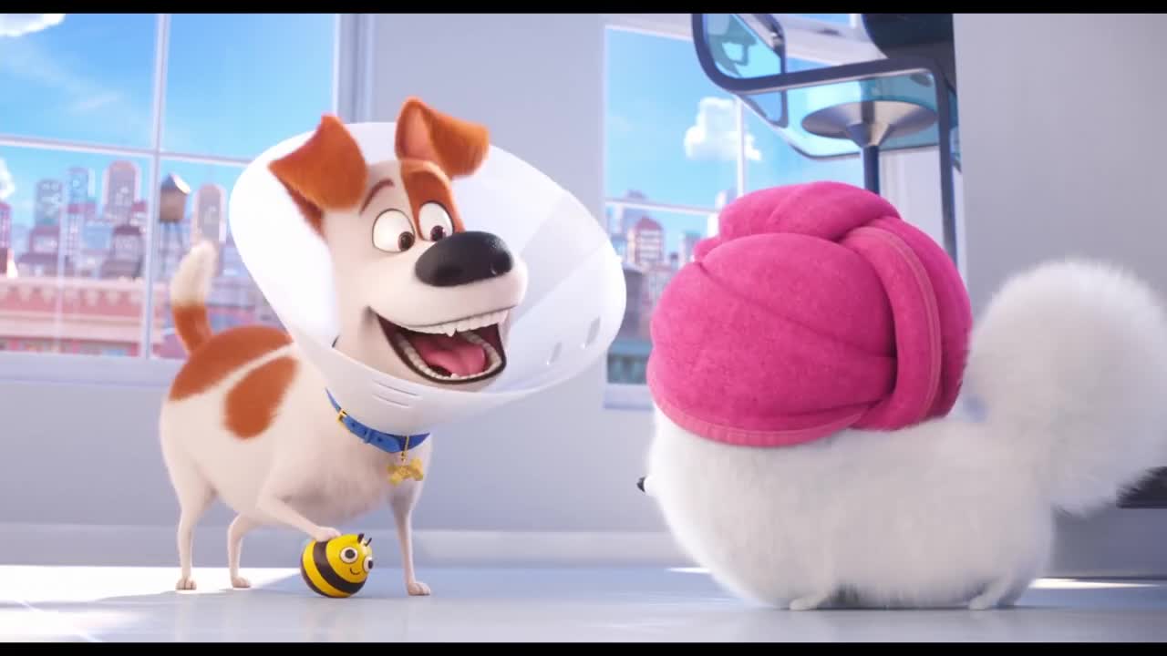 The Secret Life of Pets 2 | Max and Duke Go on a Road Trip!