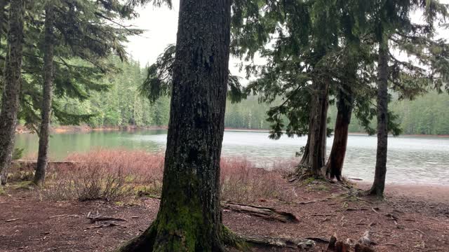 Oregon – Mount Hood National Forest – Exploring the Backcountry Camping Zone – 4K