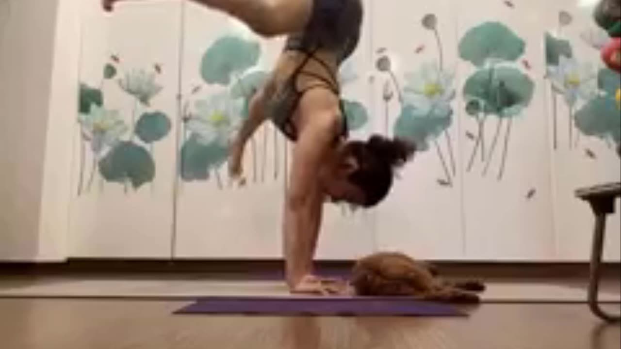 Handstand Pose Yoga - LidiYoga