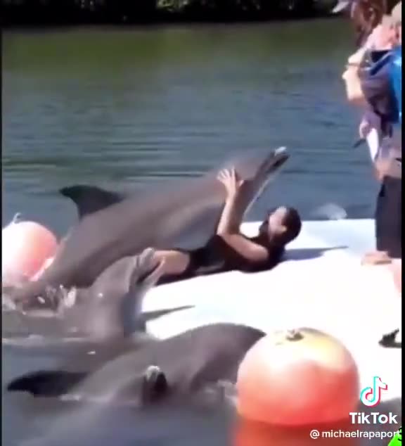 Dolphin Dry Humps The Crap Out of A Woman