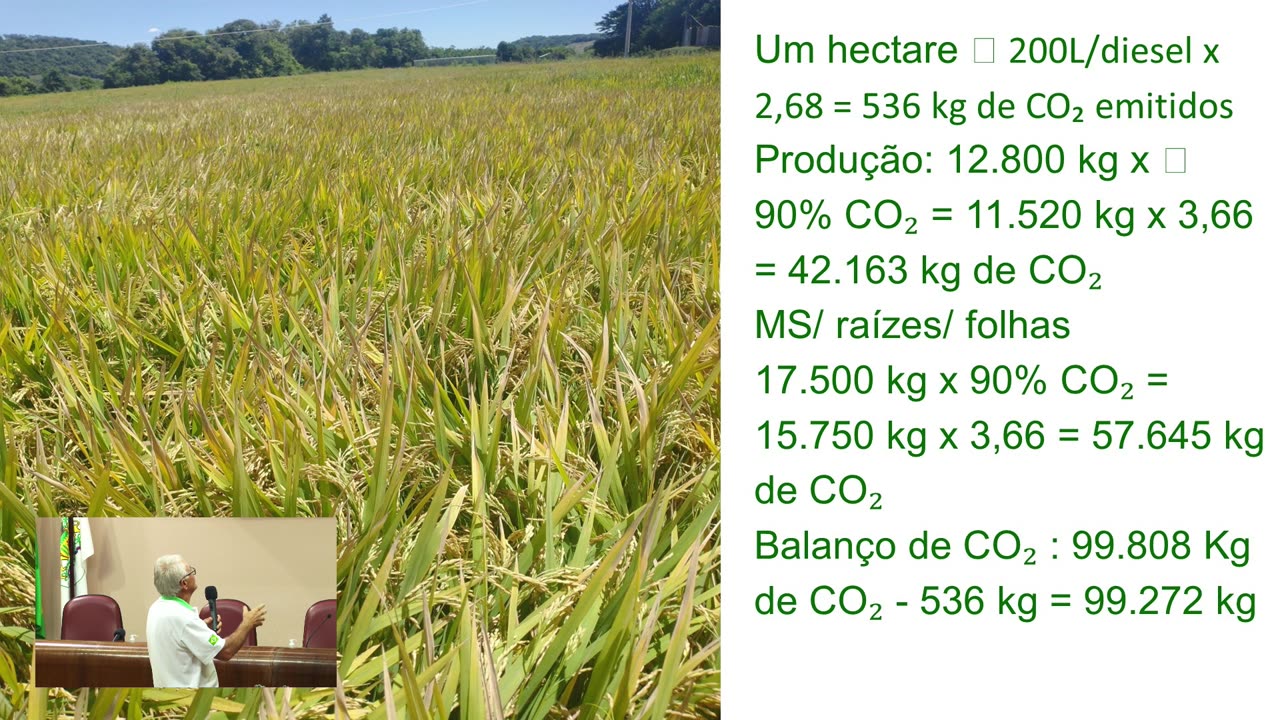 Mercado de Carbono: a visão de quem produz e consome.