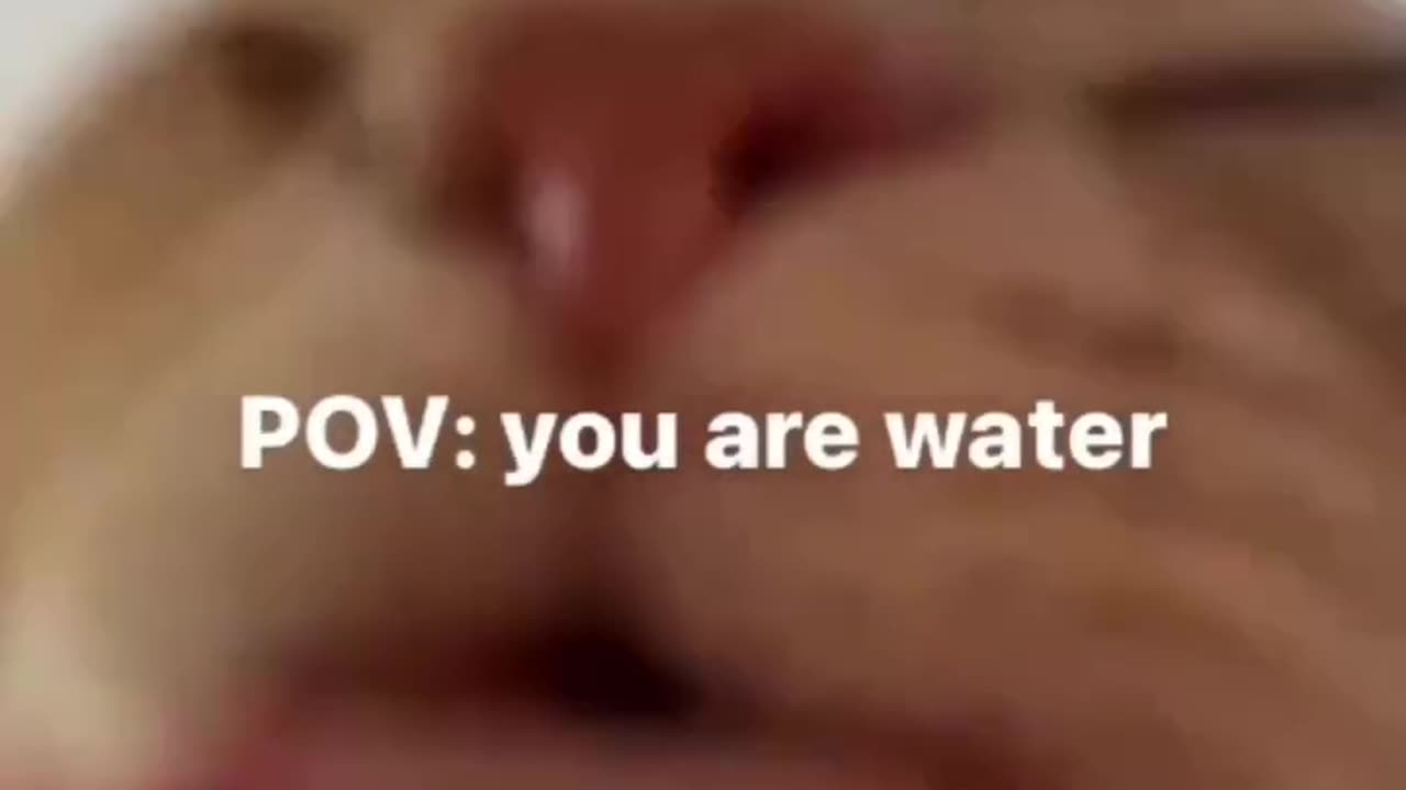 POV: You're The Water