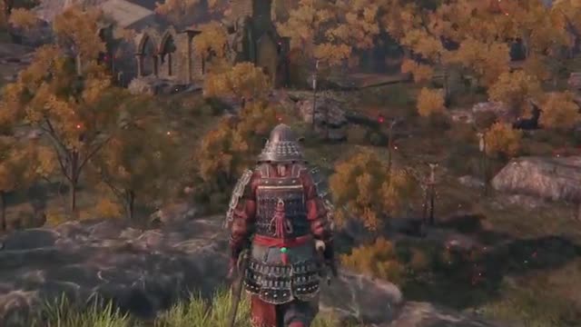LVL 1 to LVL 200 in Elden Ring #shorts