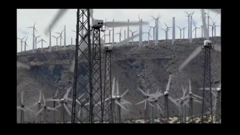 This is what they are selling as 'renewable' energy....