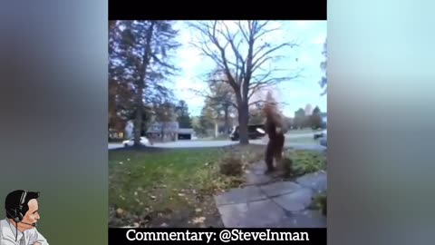 Dog From Hell