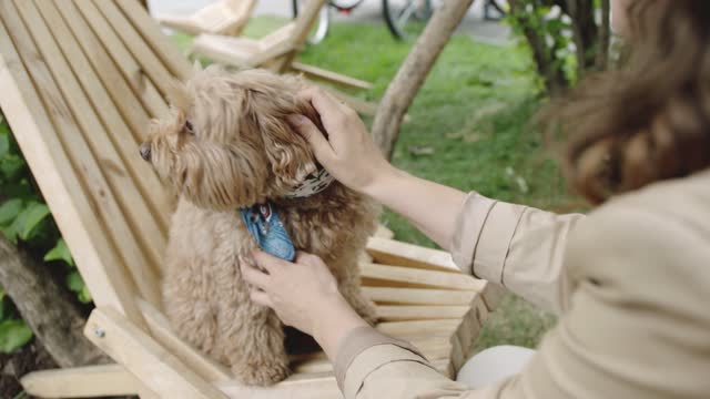 Dog funniest video 🤣🤣