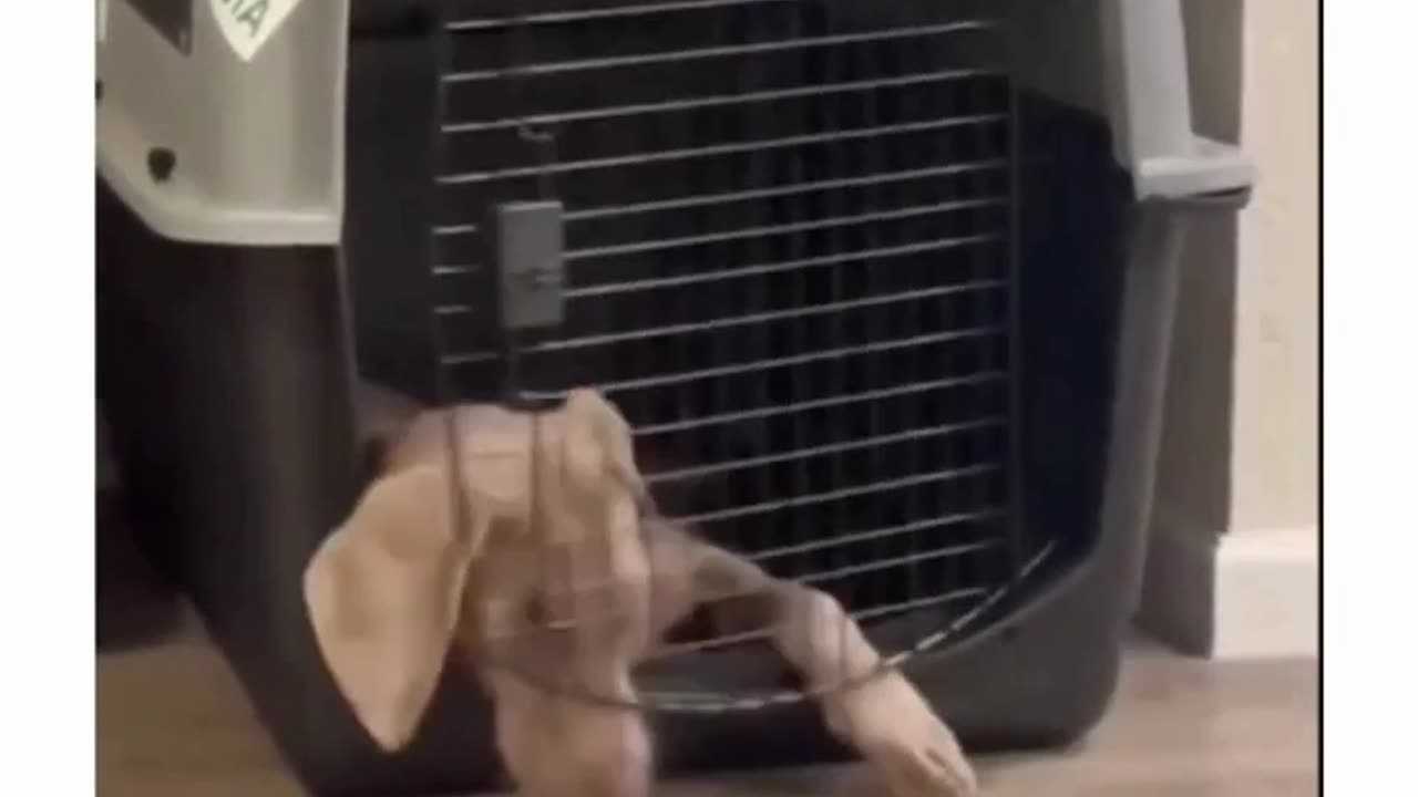 Just do it They Said... It Would Be Easy They Said