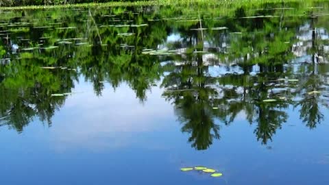Water Reflection