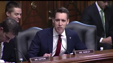 Senator Hawley "I will oppose you & anybody else The president sends up to us