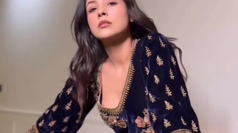 Shehnaz gill lovely expression