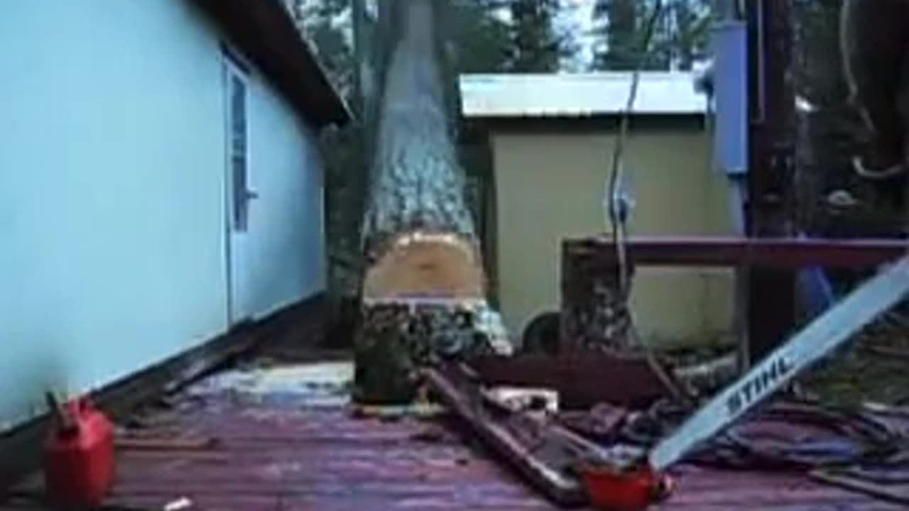Precision Tree Lopping.