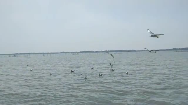 Chilika