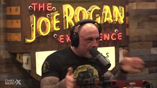 Joe Rogan on Trump's Stamina: "He just goes man" - Kisin & Foster (Triggernometry)