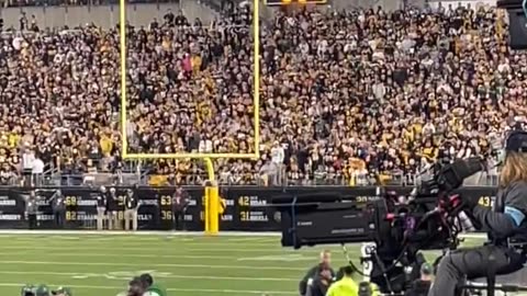 Woman storms field at Pittsburgh Steelers game