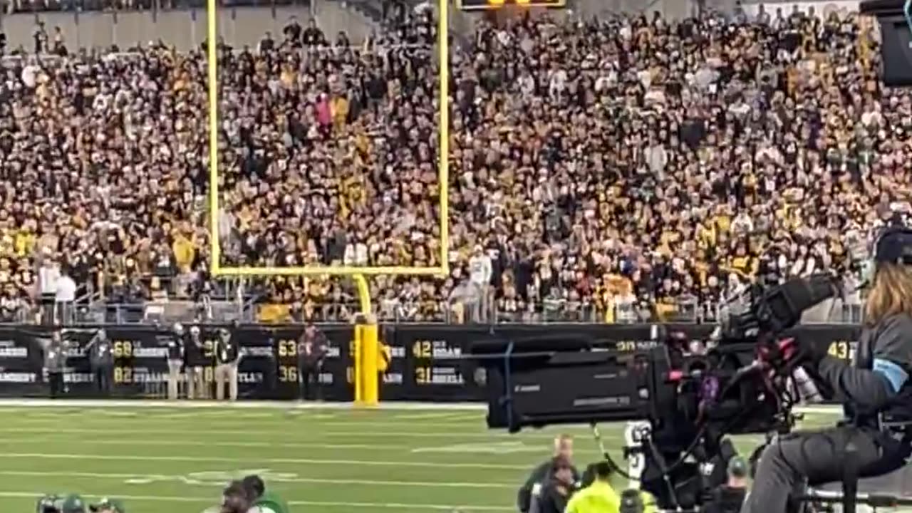 Woman storms field at Pittsburgh Steelers game