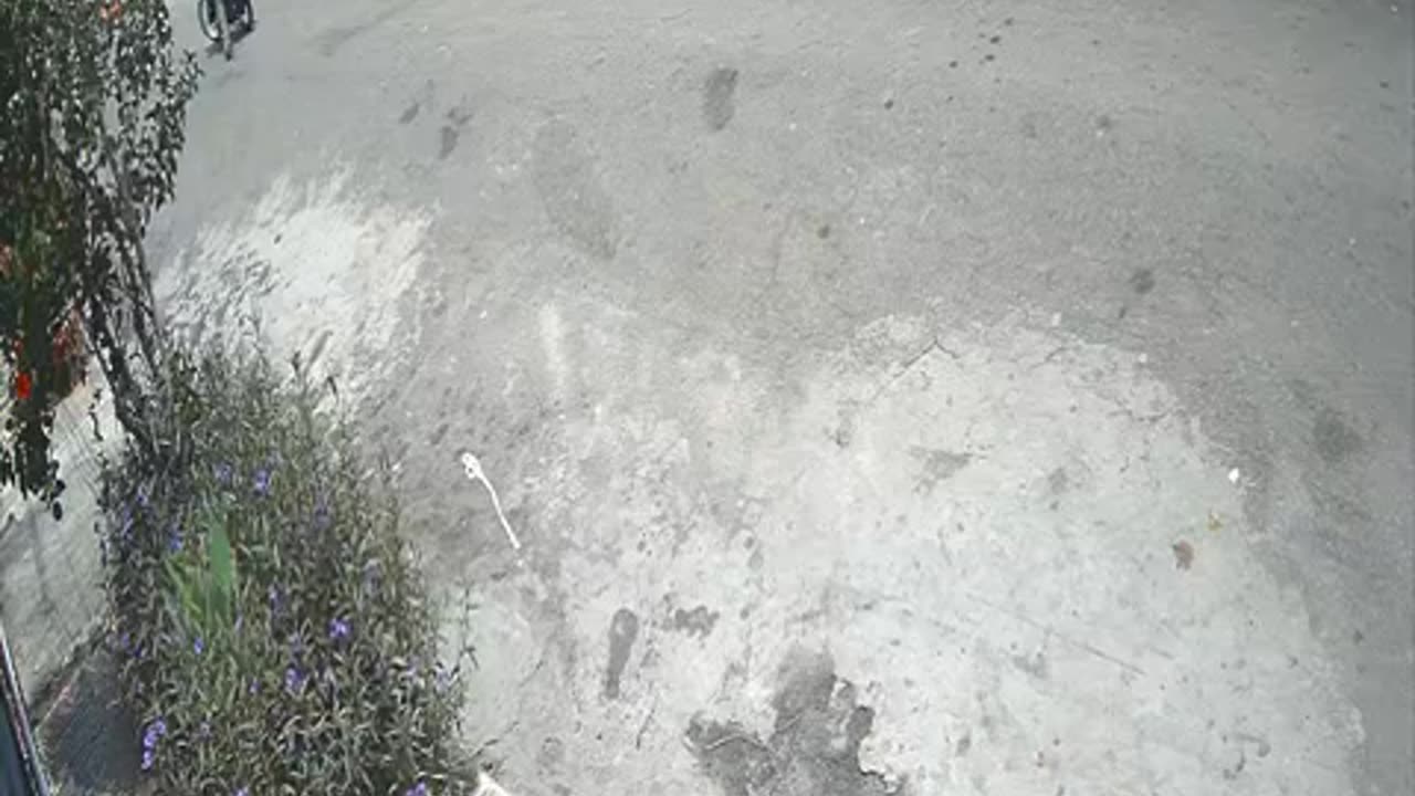 Disparos contra vivienda del barrio Candiles