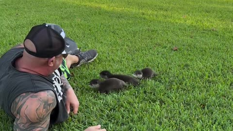 Squeaky babies!