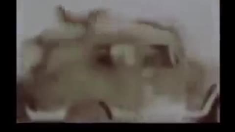 Are nukes real? What was used for Operation Fishbowl?