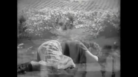 Let go of hate and UNITE!