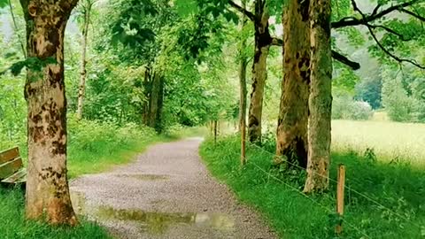 Enjoy the sound Of silence🌲🏡