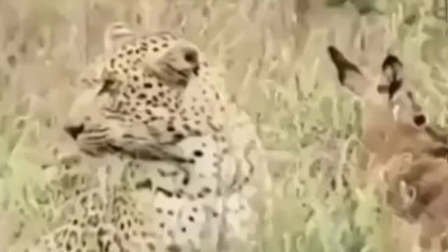 What a beautiful story ❤️🥺.