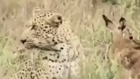 What a beautiful story ❤️🥺.