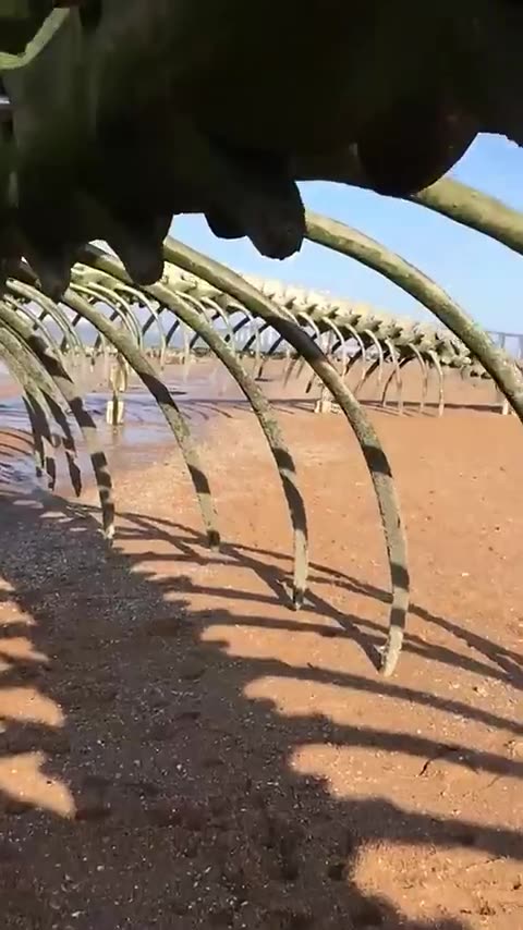 Places don’t feel real in France #travel #explore #adventure #nature