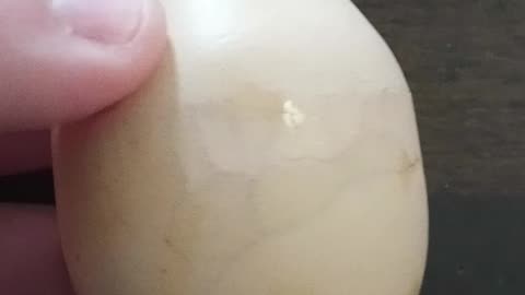 Weird shaped farm egg