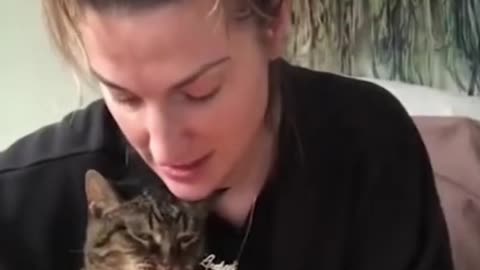 NEW Cats Videos 2024 😅 Funny Cat Videos − Funny Cats Part 4
