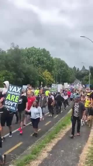 Tauranga, New Zealand Rises Up Against Covid Tyranny