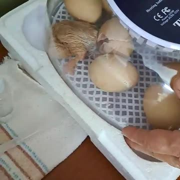 And then there was life. Praise God for His creative ability. 7/26/23 Homer.AK