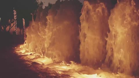 By nature's rule you should have met me.