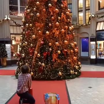 Members of the organization "Last Generation" attack Christmas trees with paint in Germany