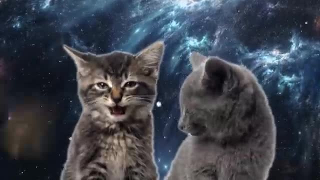 Space Cats — Magic Fly