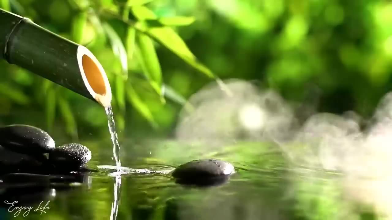 Relax yourself with Amazing Nature Music to Heal Yourself