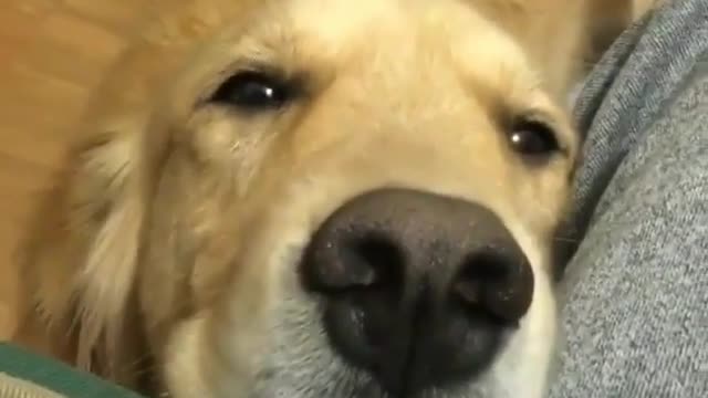 Happiness by adding those sad there the elements