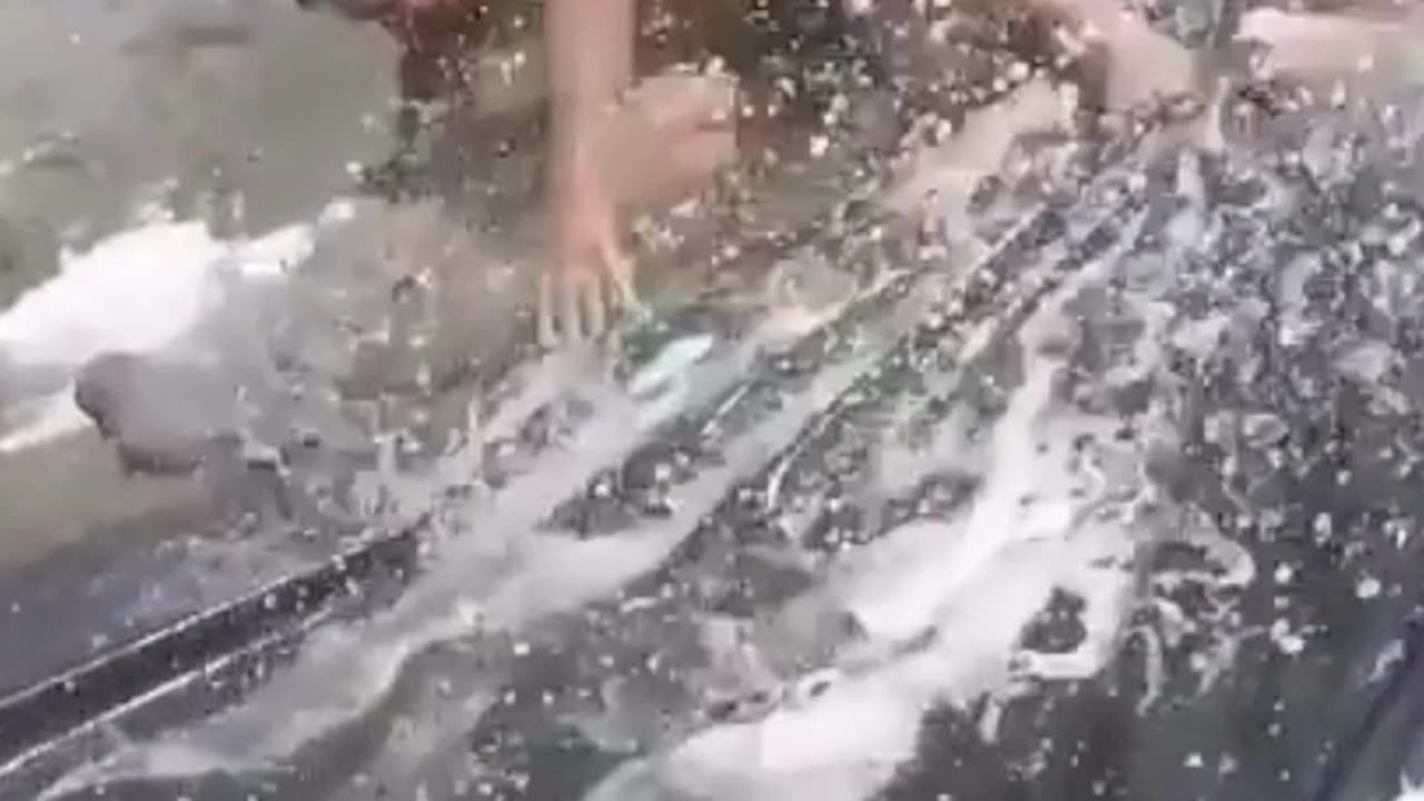 Darwin FAILS!!!
