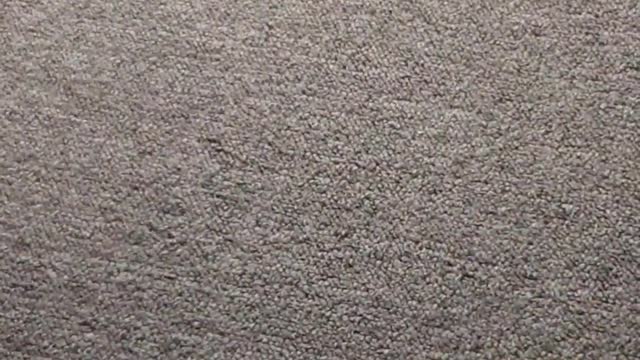 funny cat videos-Cat Playing With Bird Doll
