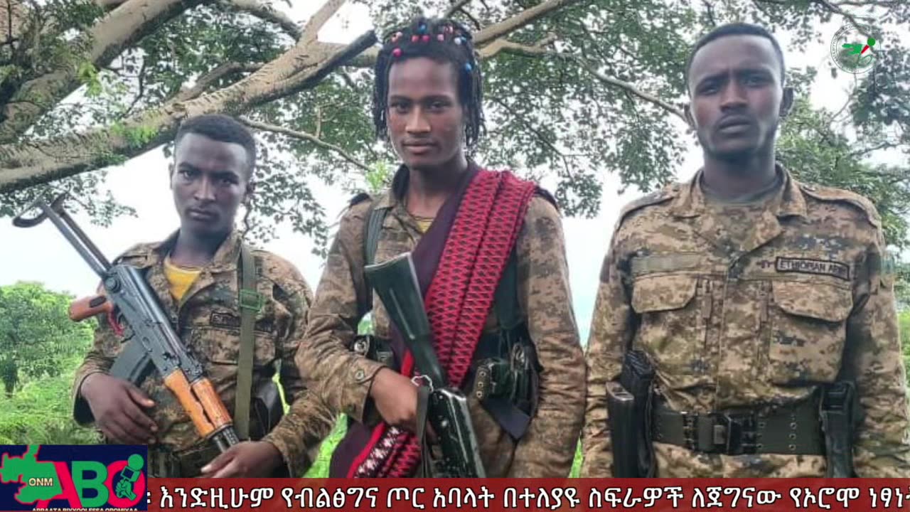 ONM -ሓምሌ 23/2023 ዓም ሳምንታዊ የኦሮሞ ነፃነት ሠራዊት ዉሎ ።