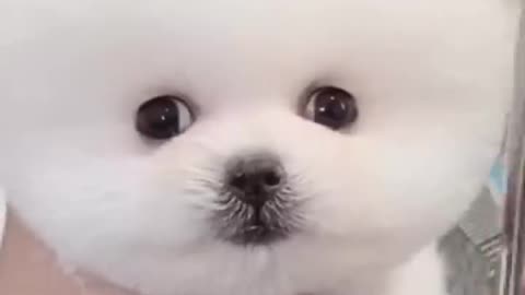 BathDaY